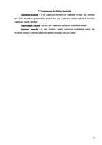 Referāts 'SIA "Vidzeme-90” darbības pilnveide', 13.