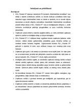 Referāts 'SIA "Vidzeme-90” darbības pilnveide', 16.