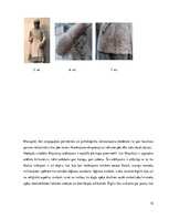 Referāts 'Sv.Maurīcija attēlojums Rīgas Melngalvju brālības nama fasādes piedurvju akmenī', 10.