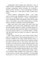 Diplomdarbs 'A/s "Latvijas Balzams" - darbības efektivitāte, attīstības perspektīvas un tende', 7.