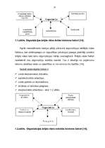 Diplomdarbs 'A/s "Latvijas Balzams" - darbības efektivitāte, attīstības perspektīvas un tende', 10.