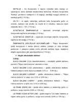 Diplomdarbs 'A/s "Latvijas Balzams" - darbības efektivitāte, attīstības perspektīvas un tende', 62.