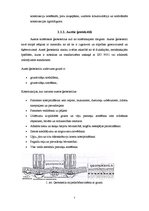 Referāts 'Ģeosintētiskie materiāli', 7.