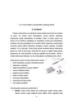 Referāts 'Ģeosintētiskie materiāli', 12.