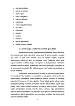 Referāts 'Ģeosintētiskie materiāli', 14.