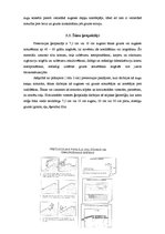 Referāts 'Ģeosintētiskie materiāli', 16.