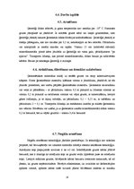 Referāts 'Ģeosintētiskie materiāli', 18.