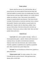 Konspekts 'Kaulu un locītavu izmeklēšanas metodes', 2.