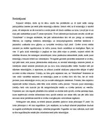 Referāts 'Sestā prāta tehnoloģija "Sixthsense"', 11.