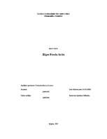 Referāts 'Rīgas Fondu birža', 1.