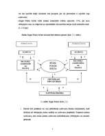 Referāts 'Rīgas Fondu birža', 8.