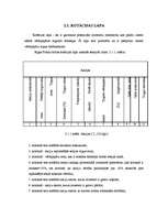 Referāts 'Rīgas Fondu birža', 11.