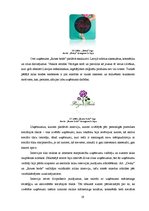 Referāts 'Sociālo mārketinga kanālu pielietošana uzņēmējdarbības veicināšanā', 19.