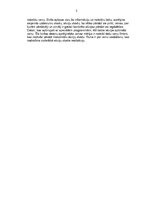 Referāts 'Rīgas Fondu biržas stratēģijas attīstības virzieni', 3.