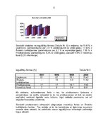 Referāts 'Rīgas Fondu biržas stratēģijas attīstības virzieni', 11.