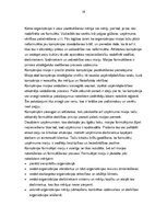 Referāts 'Rīgas Fondu biržas stratēģijas attīstības virzieni', 19.