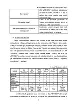 Biznesa plāns 'SIA "Sfinksa"', 11.