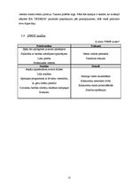 Biznesa plāns 'SIA "Sfinksa"', 12.