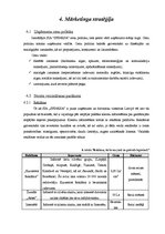 Biznesa plāns 'SIA "Sfinksa"', 13.