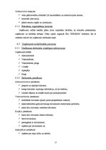 Biznesa plāns 'SIA "Sfinksa"', 19.