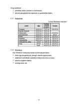 Biznesa plāns 'SIA "Sfinksa"', 20.