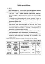 Biznesa plāns 'SIA "Sfinksa"', 21.