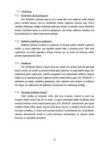 Biznesa plāns 'SIA "Sfinksa"', 22.