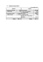 Biznesa plāns 'SIA "Sfinksa"', 26.