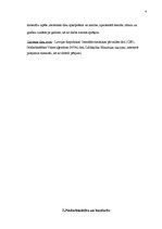 Referāts 'Nodarbinātība un bezdarbs – vienas no mūsu ekonomikas galvenajām problēmām', 4.