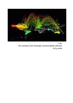 Referāts 'Internets', 6.