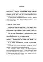 Referāts 'Internets', 7.