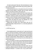 Referāts 'Internets', 9.