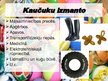 Prezentācija 'Kaučuks un gumija', 13.