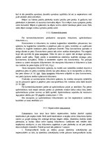 Referāts 'Starptautiskais tirgus un norēķini tajā', 16.