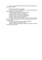 Referāts 'Starptautiskais tirgus un norēķini tajā', 18.