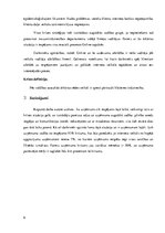 Referāts 'Krīzes vadība uzņēmumā', 6.