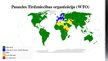 Prezentācija 'Starptautiskās ekonomiskās organizācijas, to mērķi un loma globālajā ekonomikā', 6.