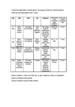 Referāts 'Solārija ietekme uz cilvēka organismu', 5.