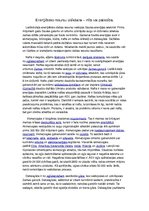 Eseja 'Enerģētisko resursu izsīkšana - mīts vai patiesība', 1.