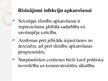 Prezentācija 'Infekcijas pārneses faktors - posmkāji', 15.