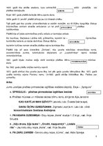 Konspekts 'Kur bitītes, tur medus. Pilsētas dzimšanas dienas scenārijs', 5.