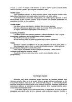 Referāts 'Autisms', 8.