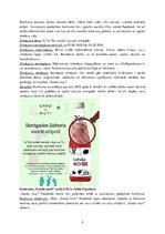 Paraugs 'Reklāmas kampaņa "Gardu muti" produktam "Zelteris"', 3.