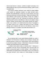 Referāts 'Stereotipu darbība. Stereotipizācija', 4.