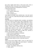 Referāts 'Austrumu kultūra', 5.