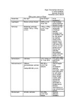 Konspekts 'Divupes personības', 1.