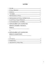 Referāts 'Profesionālās ētikas un morāles nozīme nepilngadīgo lietu inspektora dienestā', 2.