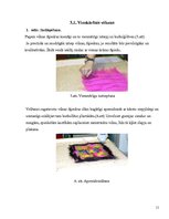 Referāts 'Vilnas velšanas tehnoloģijas', 11.