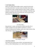 Referāts 'Vilnas velšanas tehnoloģijas', 12.