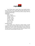 Referāts 'Dienvidāfrikas valstis', 4.